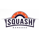 AeroSquash Logo
